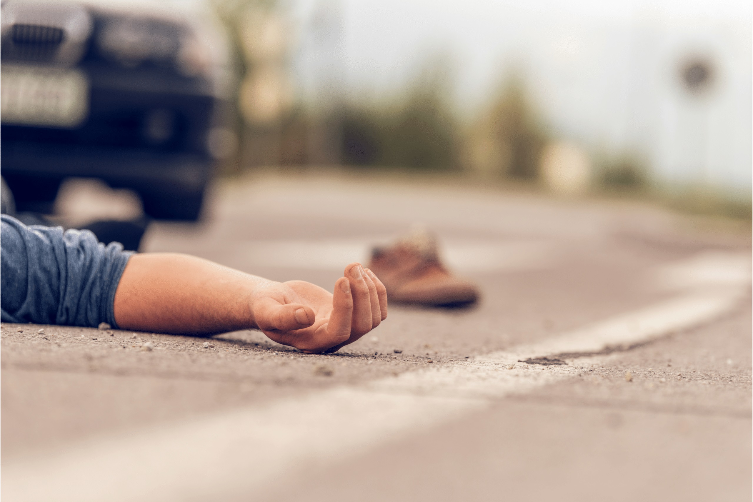 Attention ! Que ce soit des enfants, des handicapés ou autres en Floride on leur passe sur le corps et ensuite on se sauve sans laisser de traces.