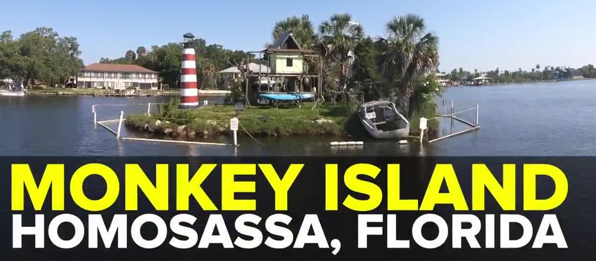 La  Floride présente son Mini Alcatraz pour singes incarcérés sur une île privée comme attraction touristique