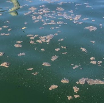 Voici la plage la plus sale de Floride ? Aussi insalubre que certaines plages de d’Amérique du Sud et des Caraïbes.