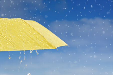 National Hurricane Center de Miami : Erin a pris une ampleur considérable alors que la Floride sera confrontée à de la pluie torrentielle.