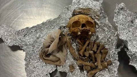 Un crâne et des ossements humains découverts dans le bagage d'un passager  dans un aéroport de Floride.