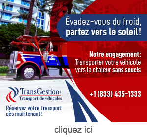 Publicité pour TransGestion