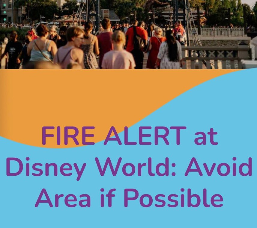 ALERTE INCENDIE à Disney World : évitez cette zone si possible.