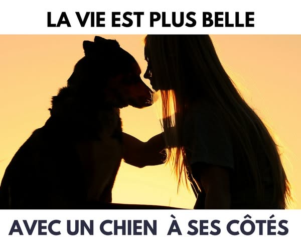 S’endetter pour son animal ?