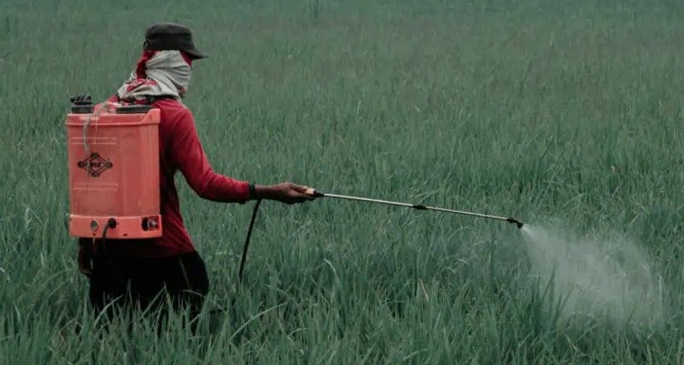 La Floride affirme que le pain en tranche contient des produits toxiques dangereux pour la santé des consommateurs. La Floride affirme que le pain en tranche contient des produits toxiques dangereux pour la santé des consommateurs.