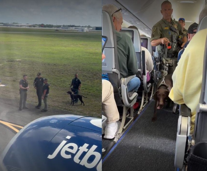 Encore une alerte à la bombe sur un vol à destination de la Floride donne lieu à une enquête. Encore une alerte à la bombe sur un vol à destination de la Floride donne lieu à une enquête.