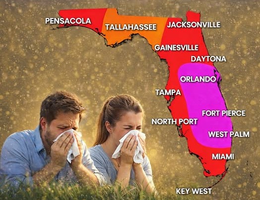 Les allergies du printemps en raison de la saison du pollen en Floride en fait tousser et éternuer plusieurs actuellement alors quoi faire et qui contacter !