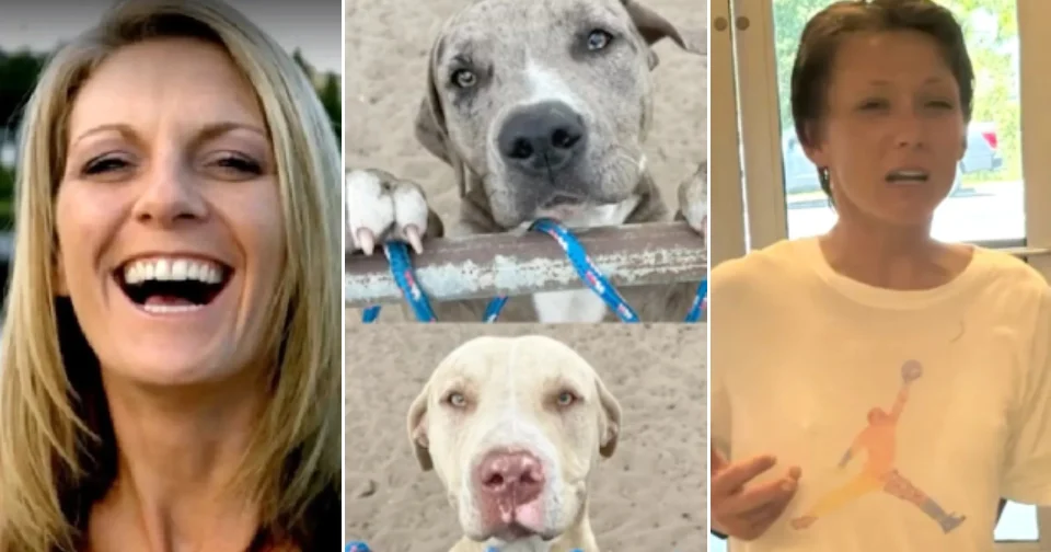 Une femme de Floride a été tuée sauvagement par des pitbulls en pleine rue de quartier. Mais où était le maître ?