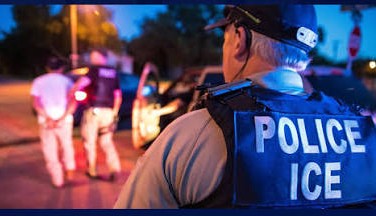 La Floride se vident de ses illégaux avec plus de 29 000 agents de police locaux collaborant déjà avec le ICE représentant la moitié des arrestations effectuées comprenant le Texas.