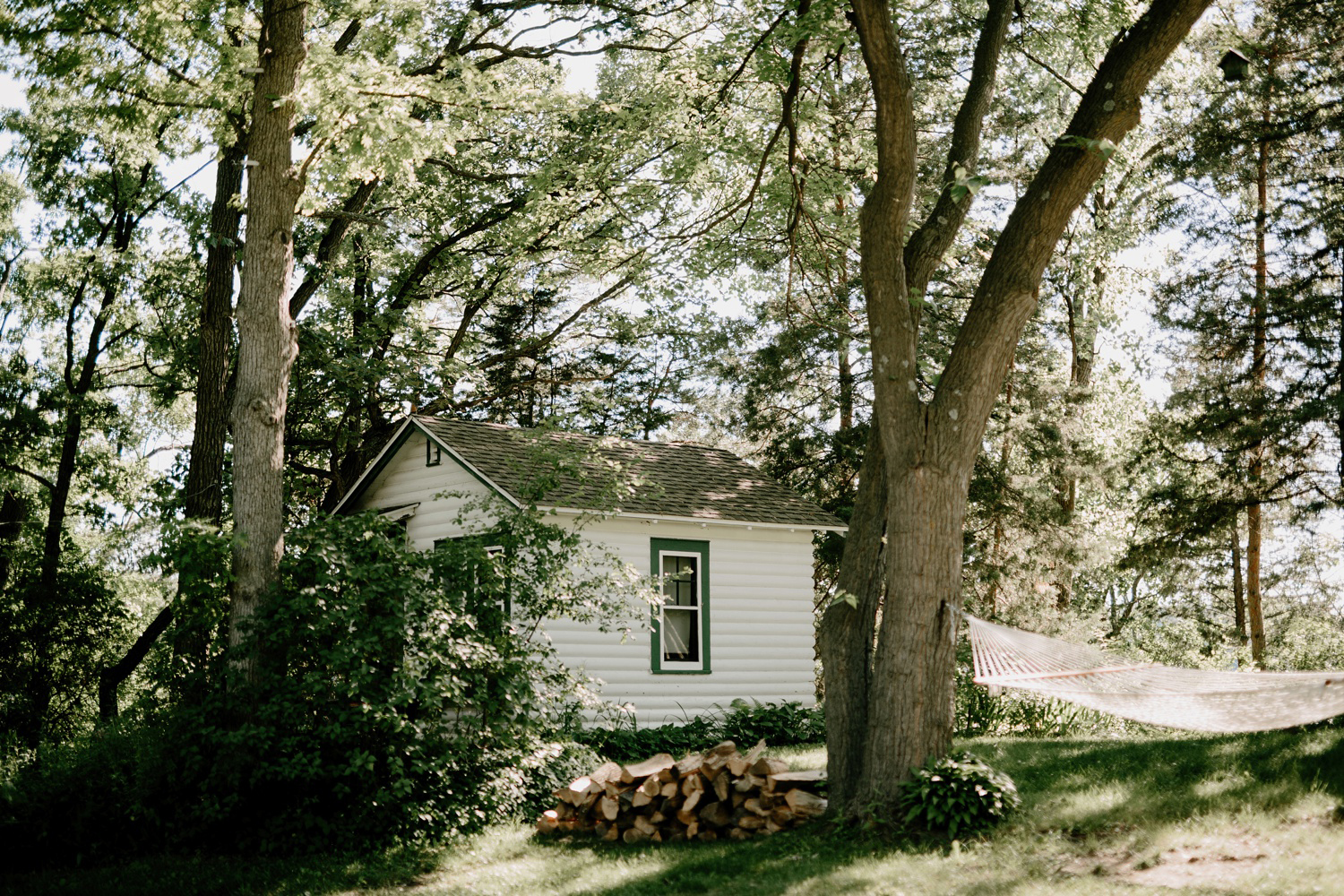 camp house with hammock and firewood