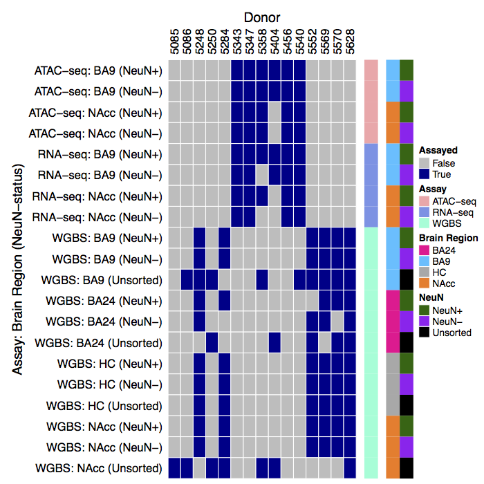 Individual-level dataset matrix