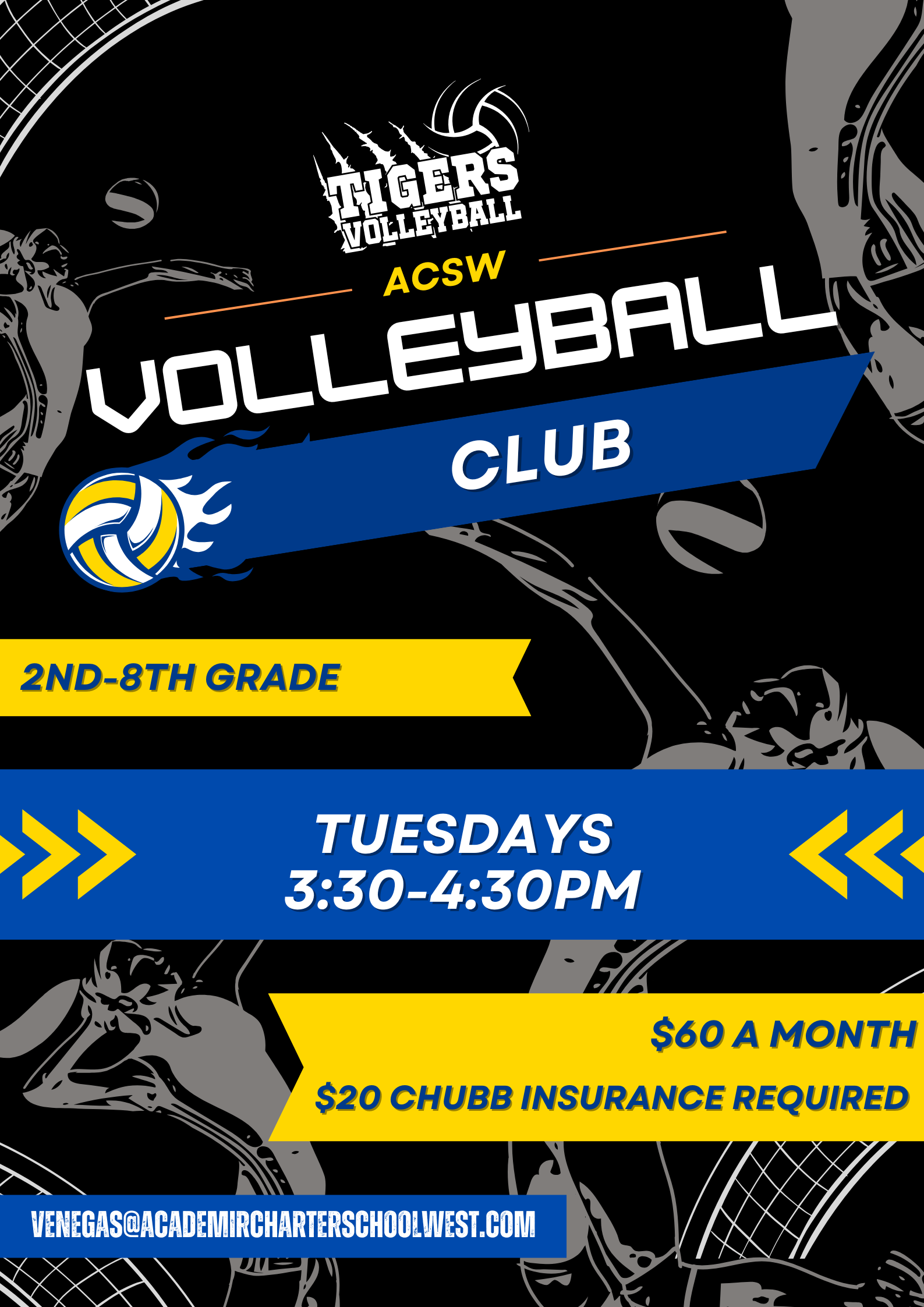 Volleyball NOVEMBER