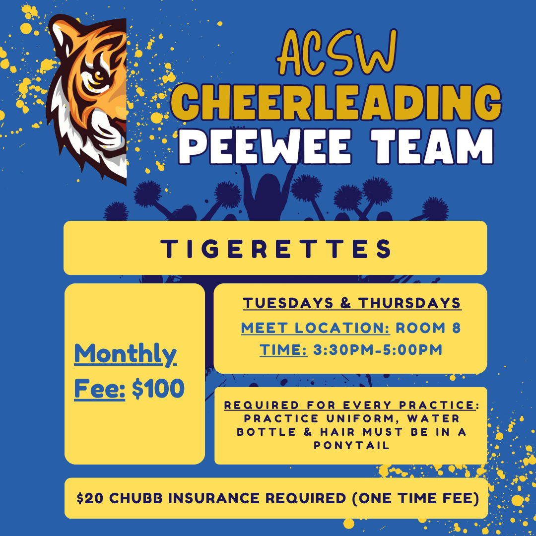 Mini Cheerleading NOVEMBER
