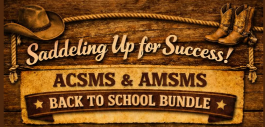 Back to School Bundle - Option 3