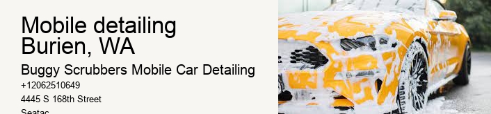 mobile detailing Burien, WA