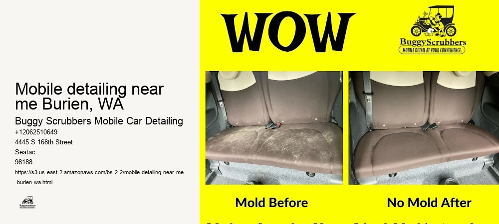mobile detailing near me Burien, WA