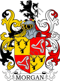 Morgan Family Crest, Coat of Arms and Name History