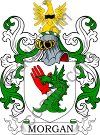 Morgan Family Crest, Coat of Arms and Name History