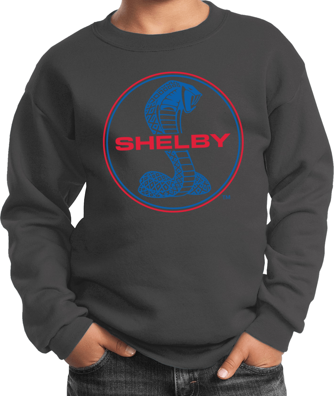 Kids Ford Mustang Sweatshirt Shelby Blue and Red Logo - Picture 7 of 12