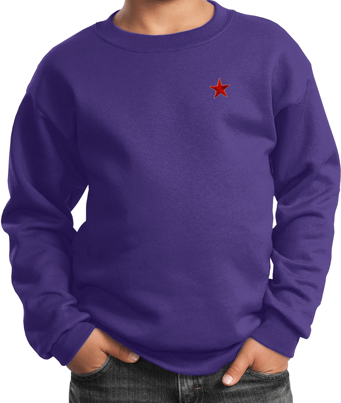 Buy Cool Shirts Red Star Patch Pocket Print Youth Kids Sweatshirt - Picture 15 of 17