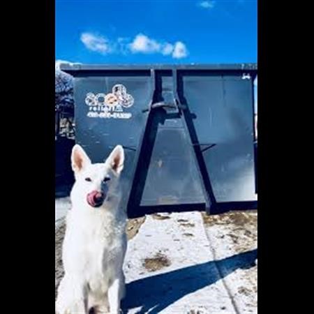 Dumpster Rental Malverne NY