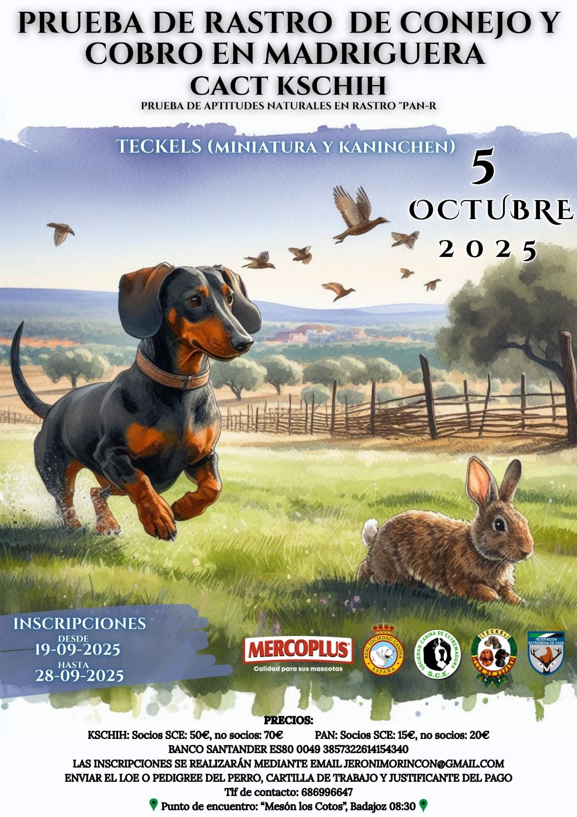 Rastro de conejo y cobro madriguera CACT