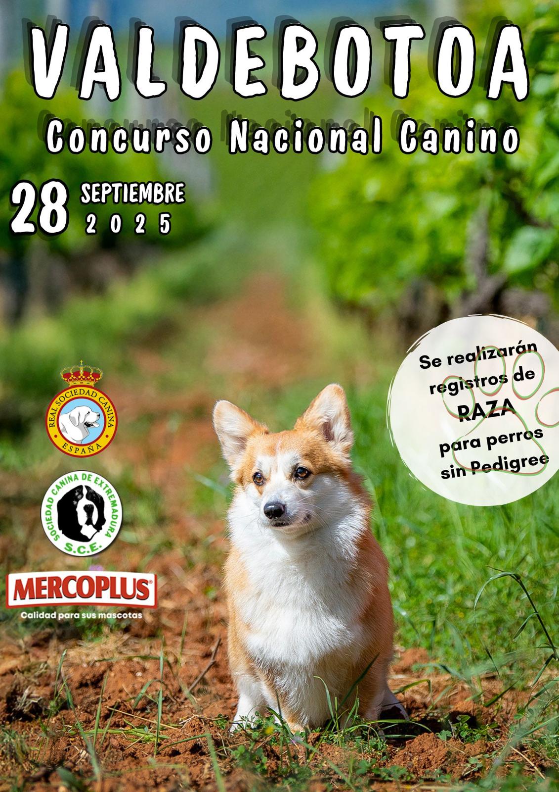 Valdebotoa: Concurso Canino