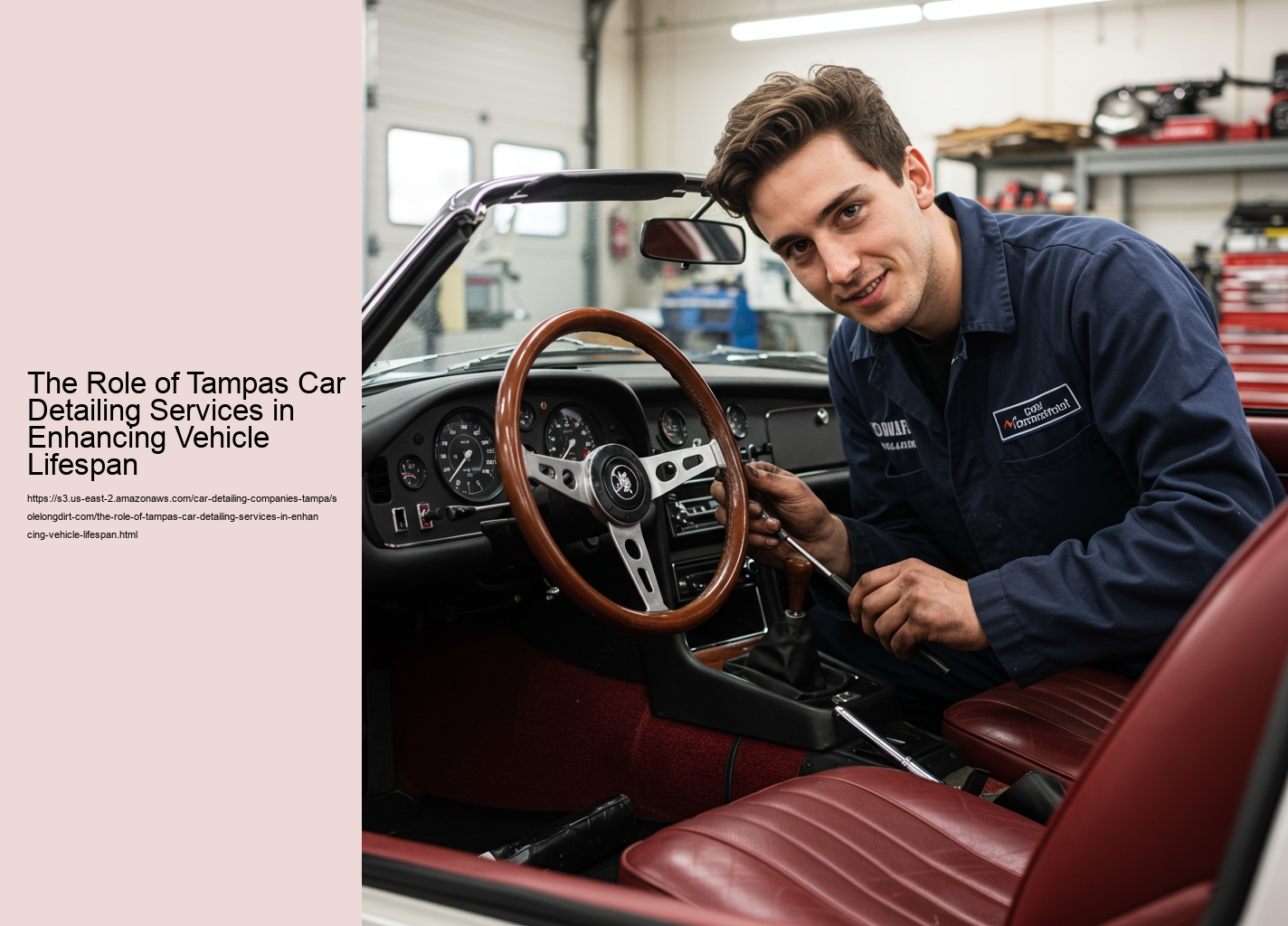 The Role of Tampas Car Detailing Services in Enhancing Vehicle Lifespan