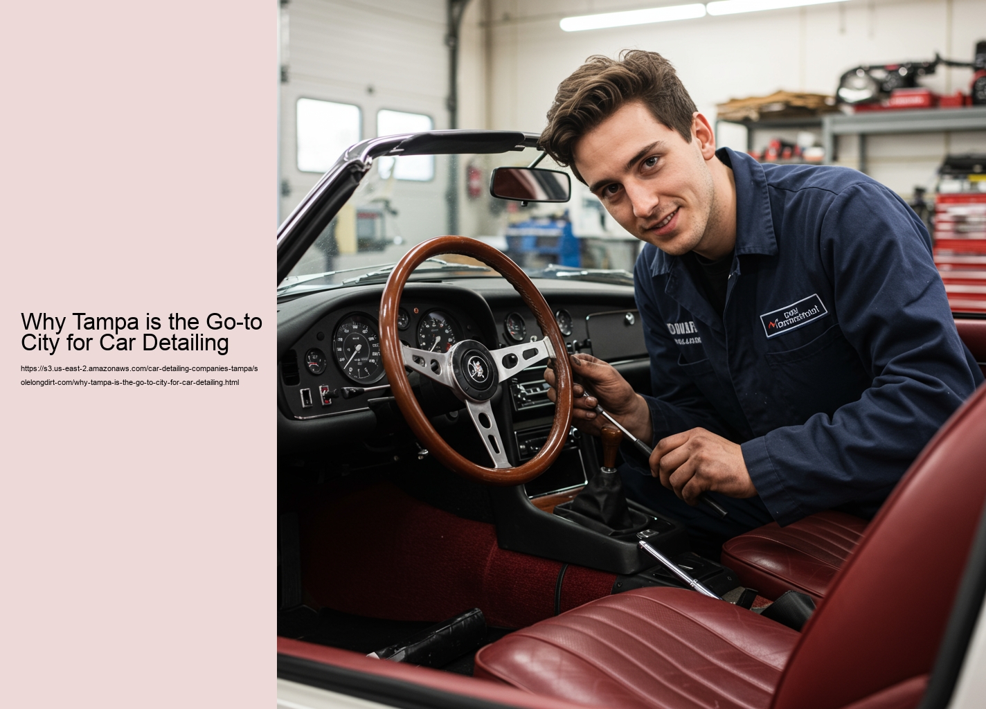 Why Tampa is the Go-to City for Car Detailing