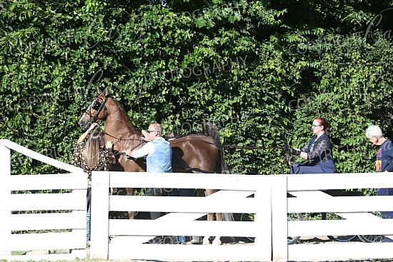 2026 Rock Creek Horse Show