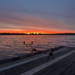 242cf08fa466bcf450bf9920bc405399.jpg