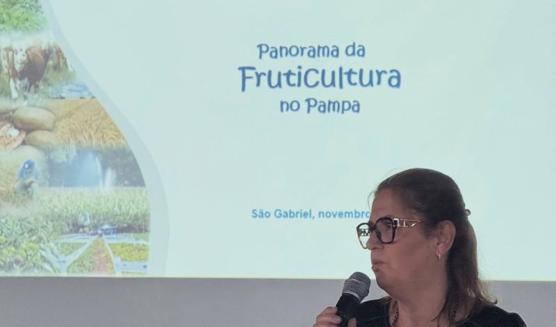 Foto de capa da notícia: São Gabriel recebe encontro regional de Olivicultura e Fruticultura