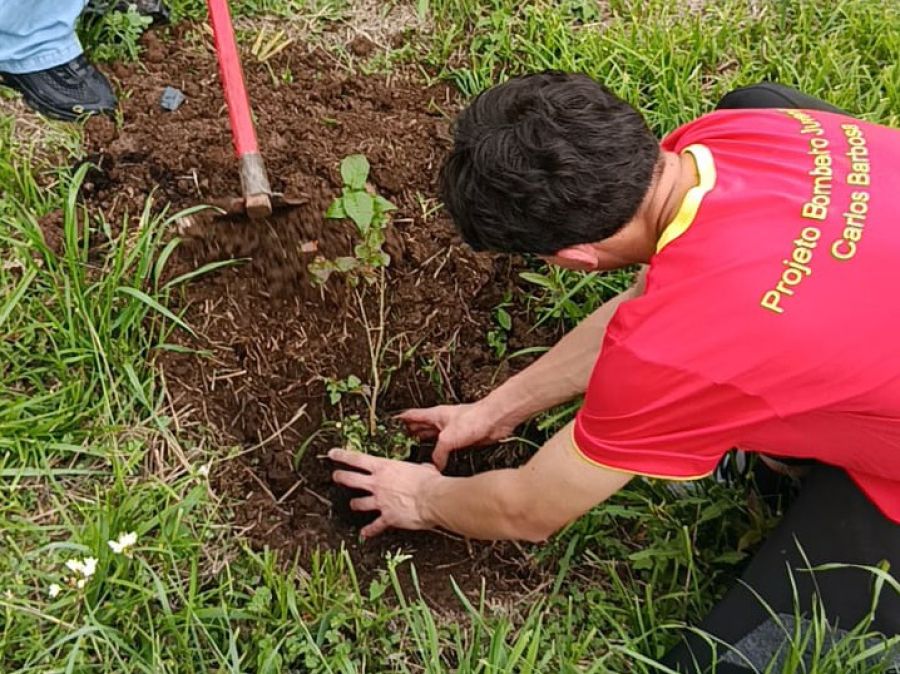 Foto de capa da notícia Projeto Bombeiro Juvenil realiza plantio de mudas em parceria com a Secretaria Municipal de Meio Ambiente