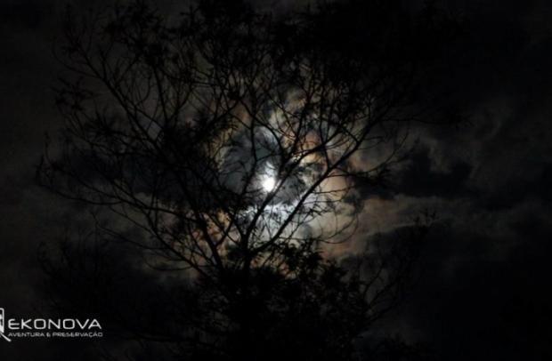 Créditos: Ekonova Adventure