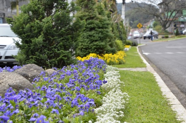 Foto de capa da notícia: Munícipes poderão deixar Nova Petrópolis ainda mais florida