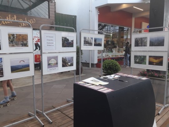 Foto de capa da notícia: Concurso fotográfico do Festival da Primavera 2018 tem 16 finalistas