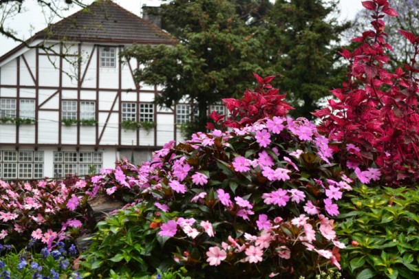 Foto de capa da notícia: Atenção ao horário de expediente nos órgãos públicos de Nova Petrópolis