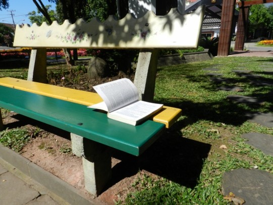 Foto de capa da notícia: Projeto Livro sem Dono distribui livros na Praça das Flores