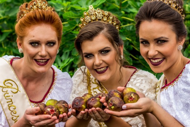 Foto de capa da notícia: Produção de figo é destaque em Nova Petrópolis