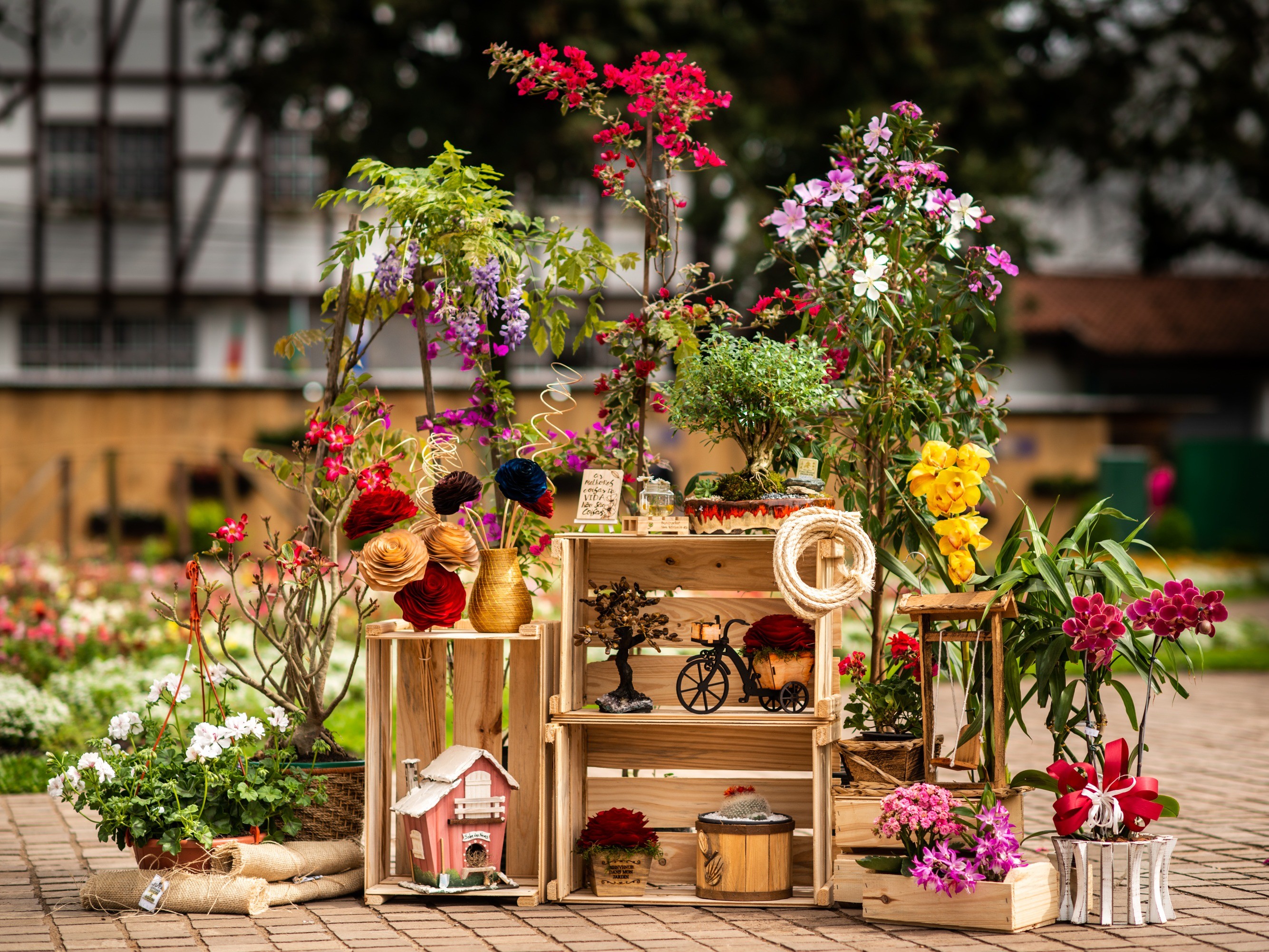 Foto de capa da notícia: Nova Petrópolis abre inscrições para expositores do 9º Festival da Primavera