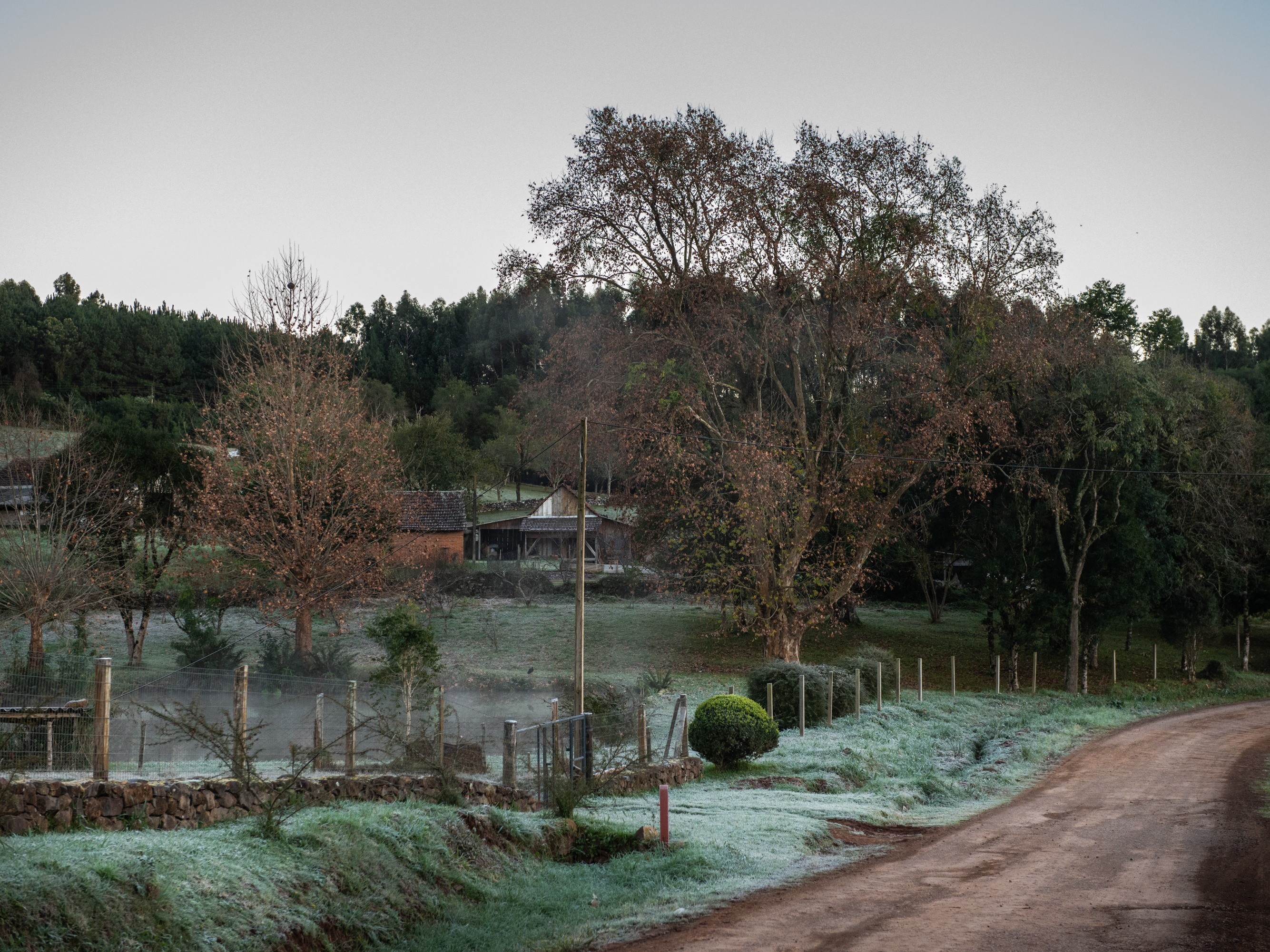 Foto de capa da notícia: Frio chega a Nova Petrópolis e possibilidade de neve anima munícipes  e turistas