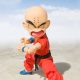 DRAGON BALL, KRILLIN CHILDHOOD,