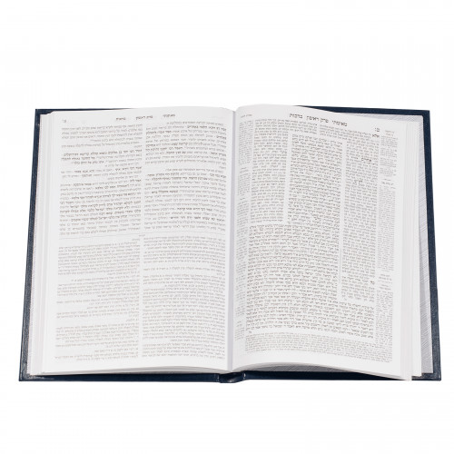 Yalangoch sariq gimnastikachi yaqindan olingan mushuk video