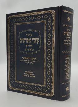 Onlaynda mast joja pornosini sikdi