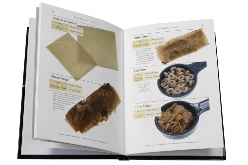 Rus talabalar porno filmlarini tomosha qiling