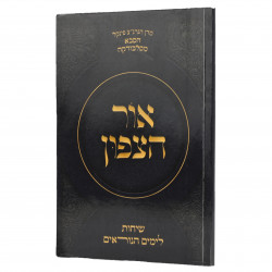 Dasha Sagalova porno