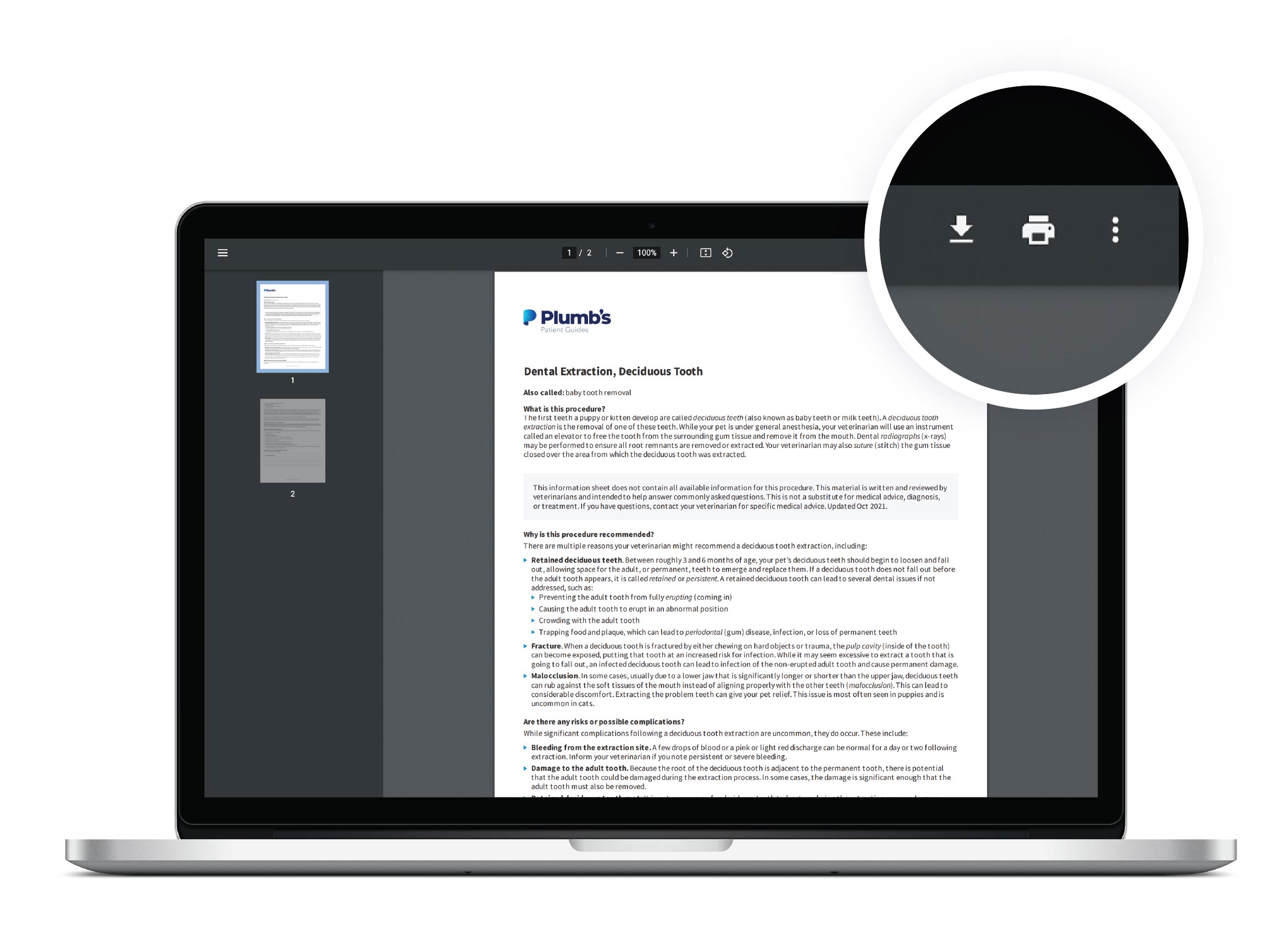 Easily print Plumb's clinical handout by clicking on the printer icon in the view tab