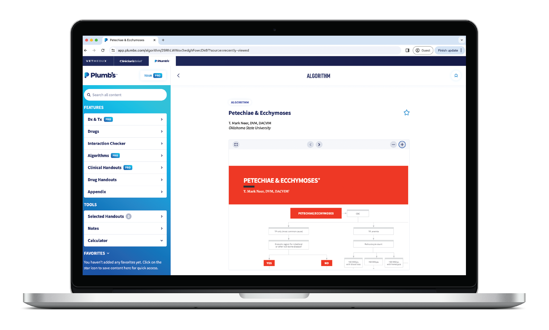 Clinician’s Brief veterinary algorithm on petechiae and ecchymoses