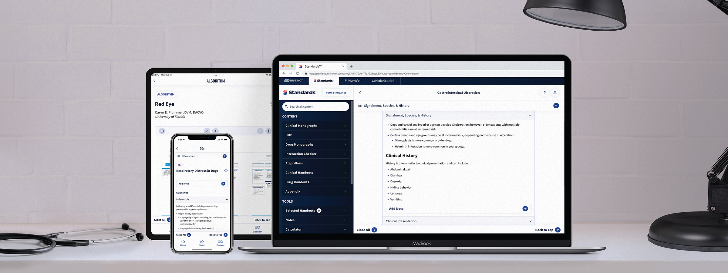 Meet Standards of Care: The Future of Veterinary Clinical Decision Support