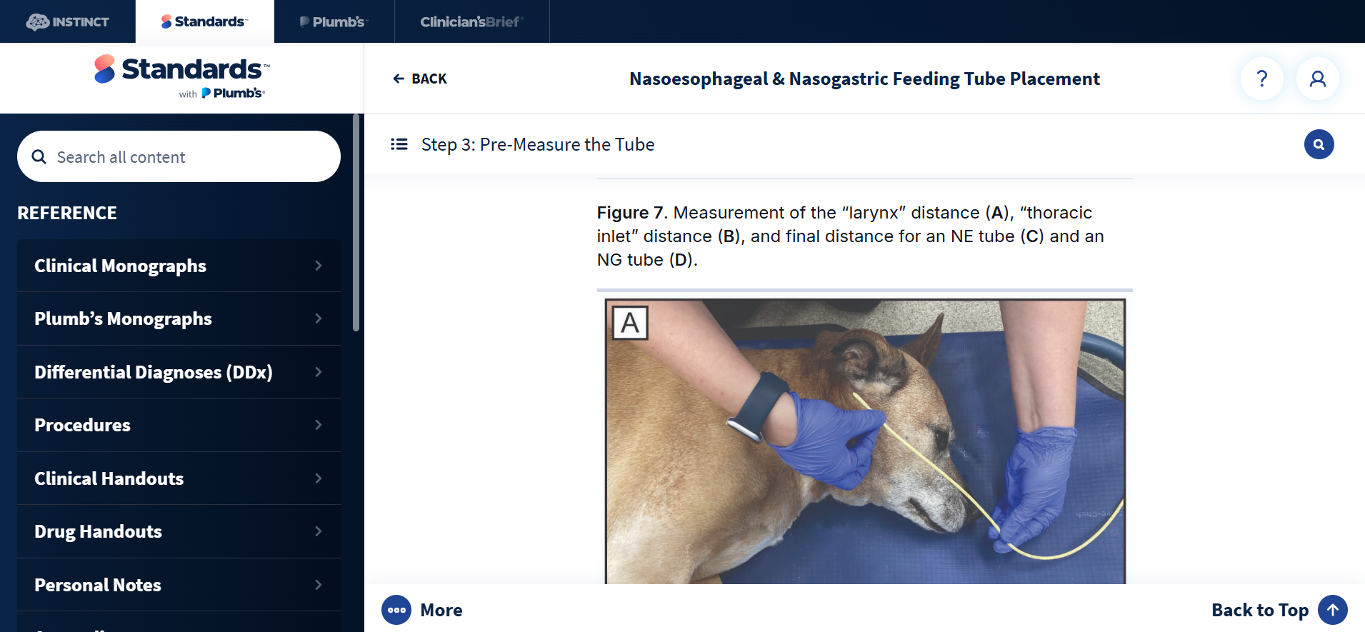 Nasoesophageal & Nasogastric Feeding Tube Placement